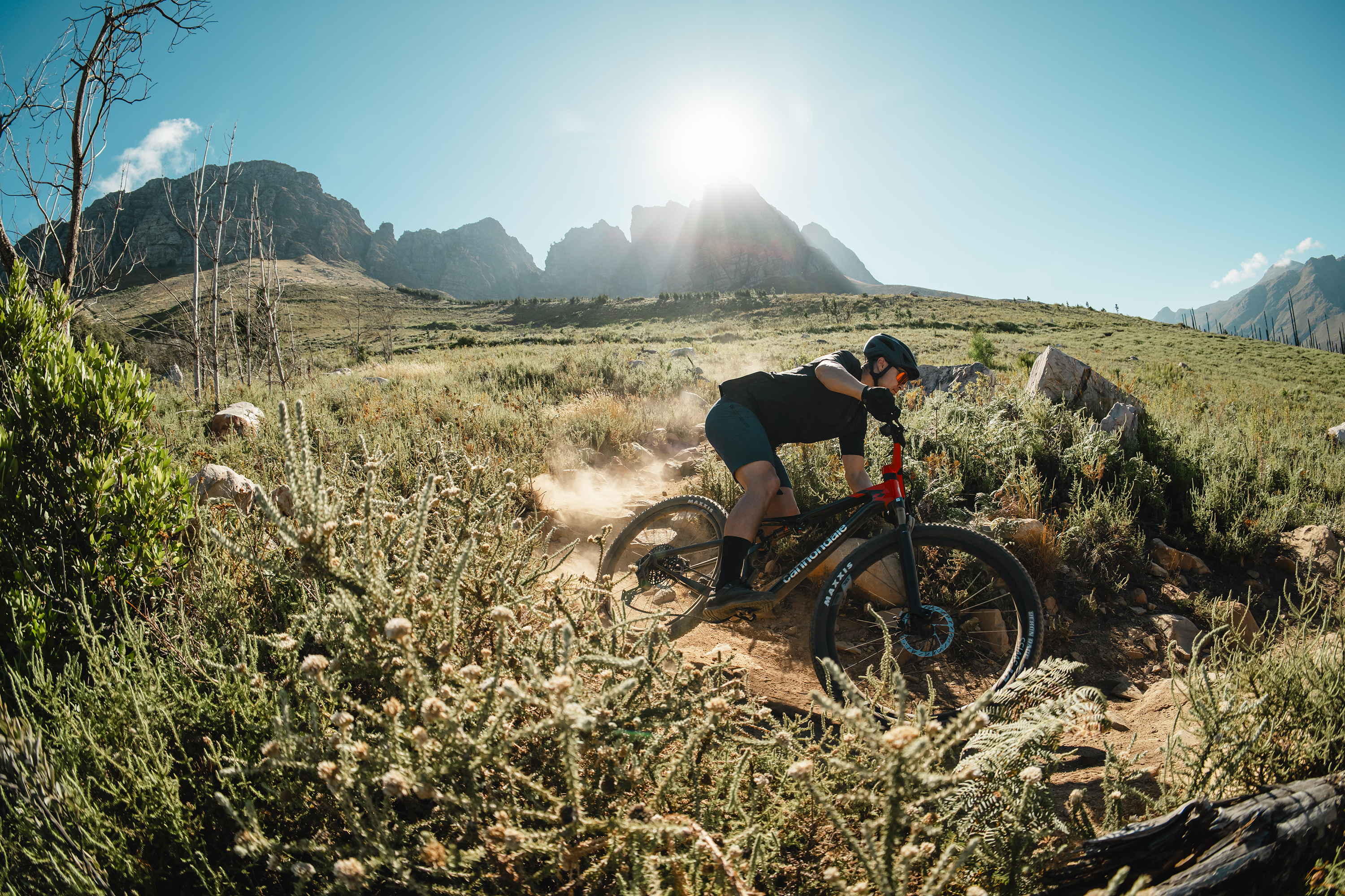 Cannondale's New Scalpel is Built to Thrill – 99 Spokes