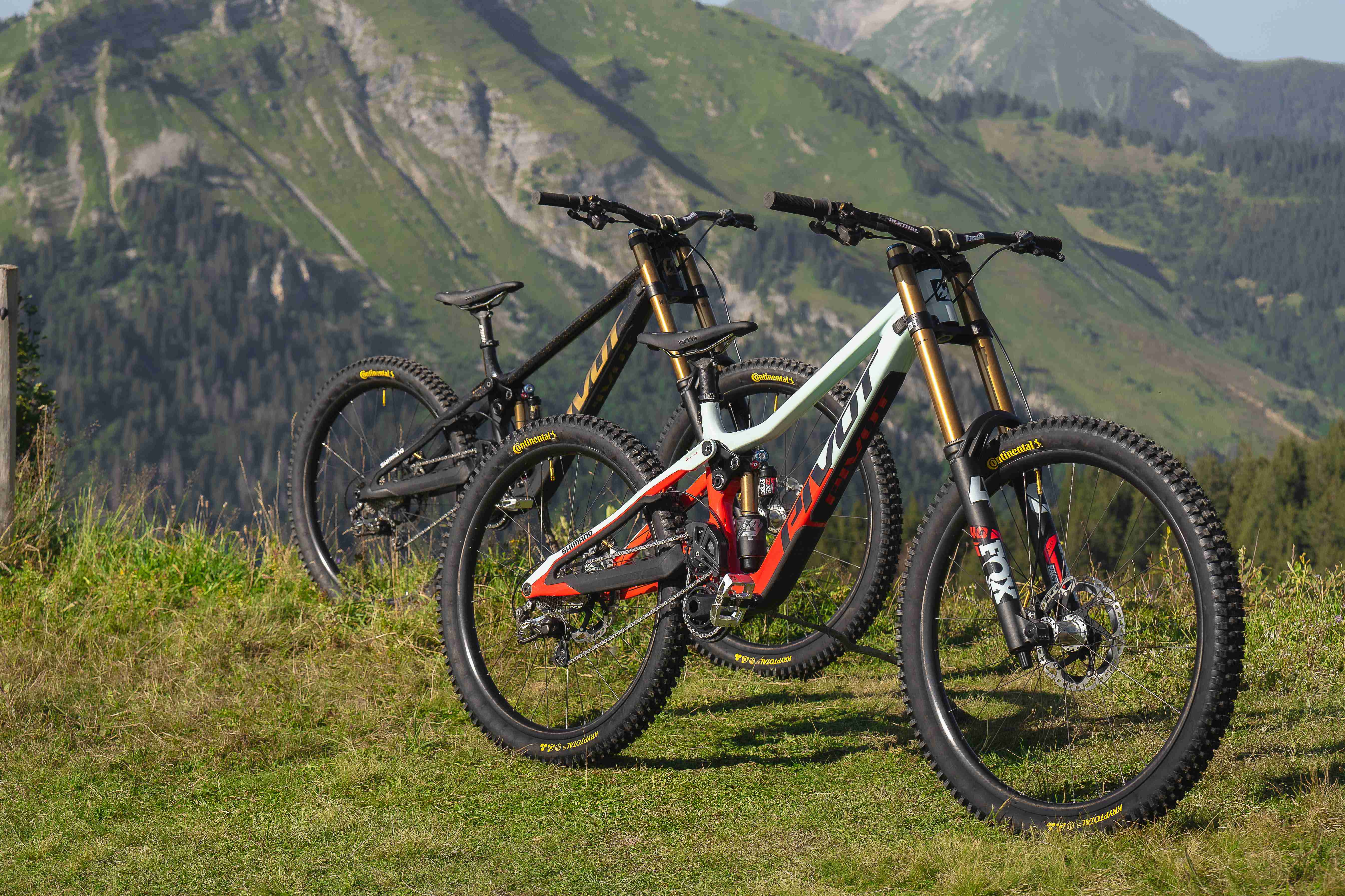 The All-New Phoenix is Here – 99 Spokes