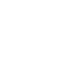 Business Analysis