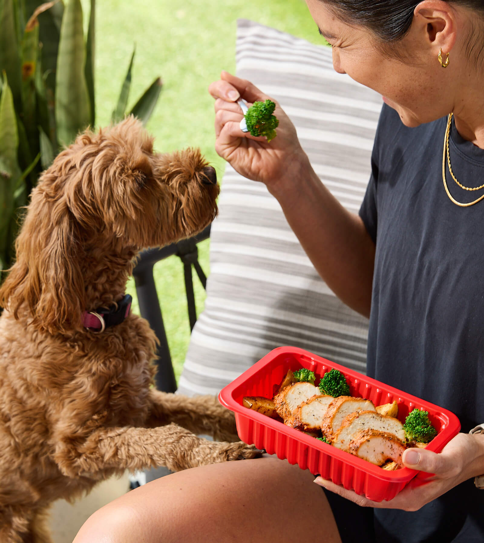 Man enjoying a healthy meal with chicken, broccoli, and sweet potatoes, alongside a My Muscle Chef meal package.