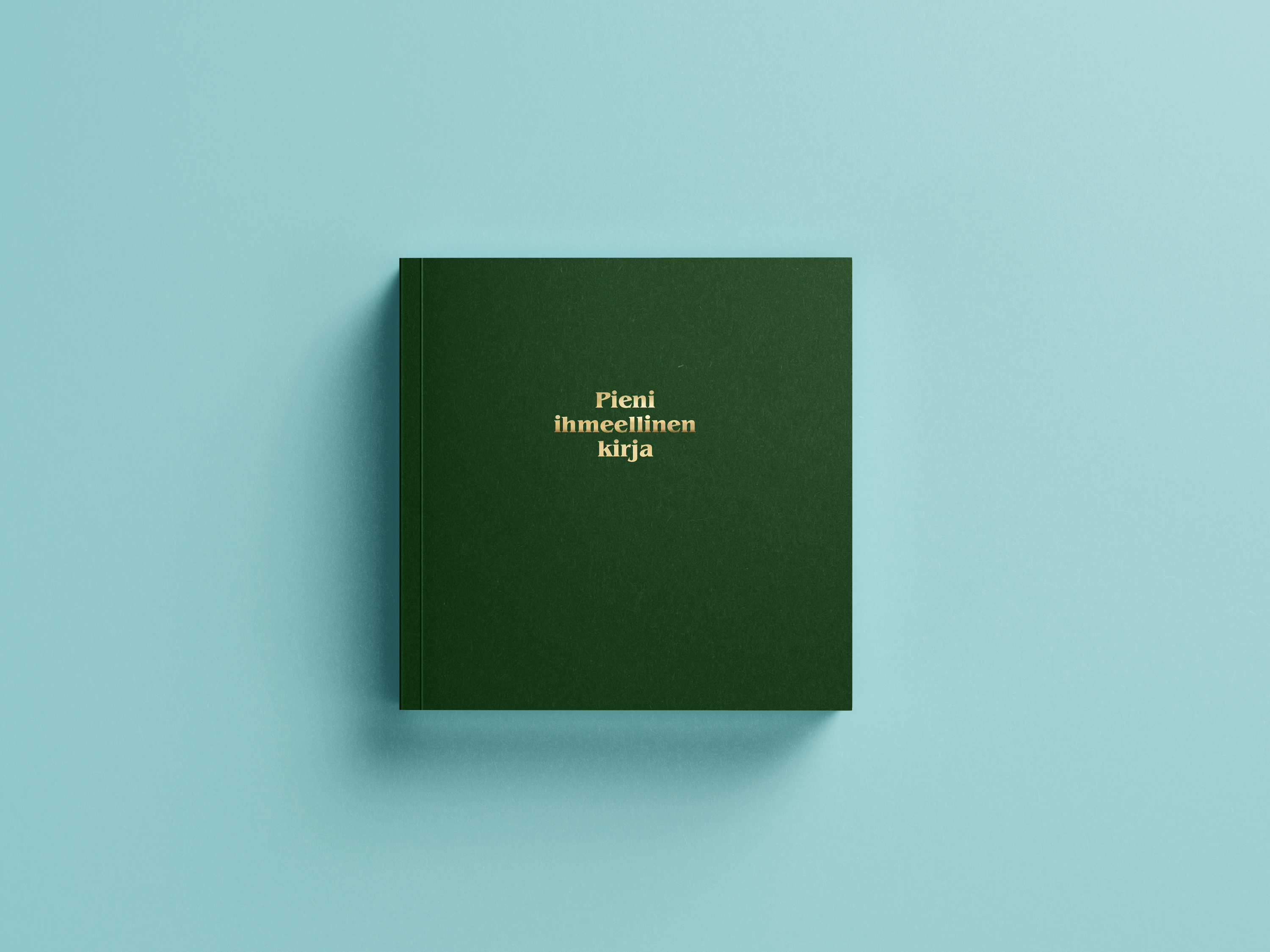 brand book
