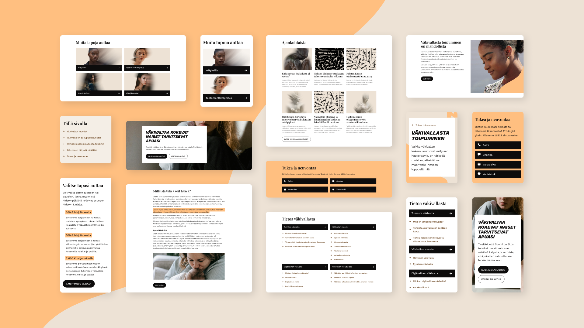 Screenshot and components of the renewed website