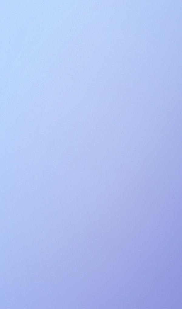 Belonging App and Website