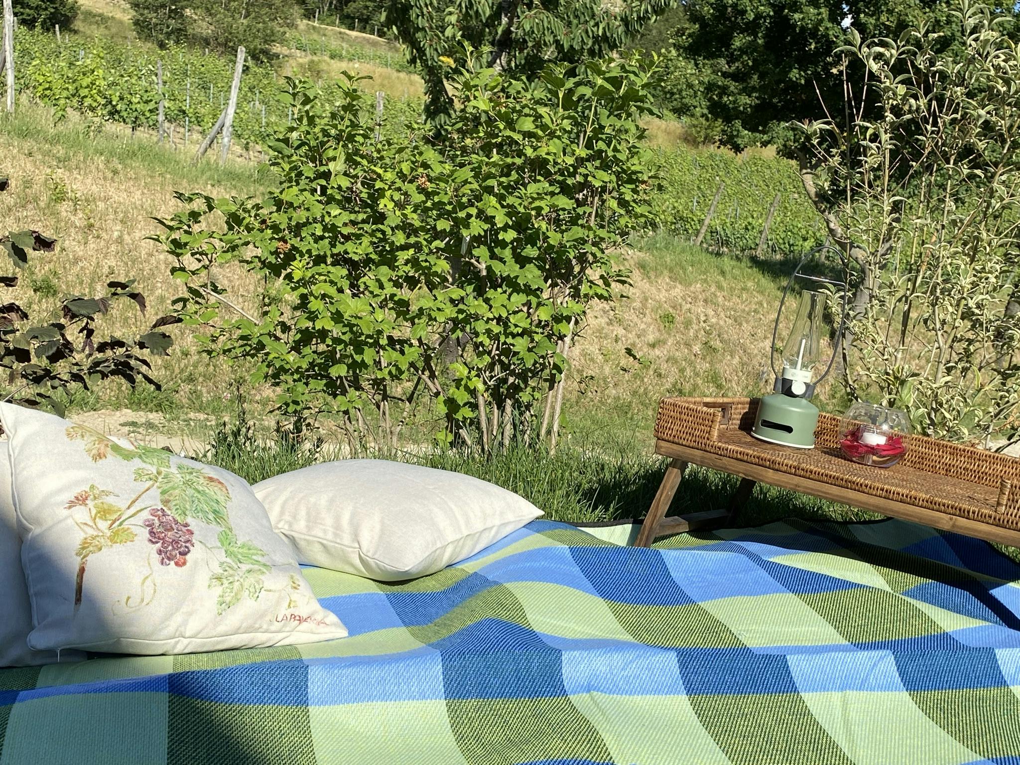 picnic