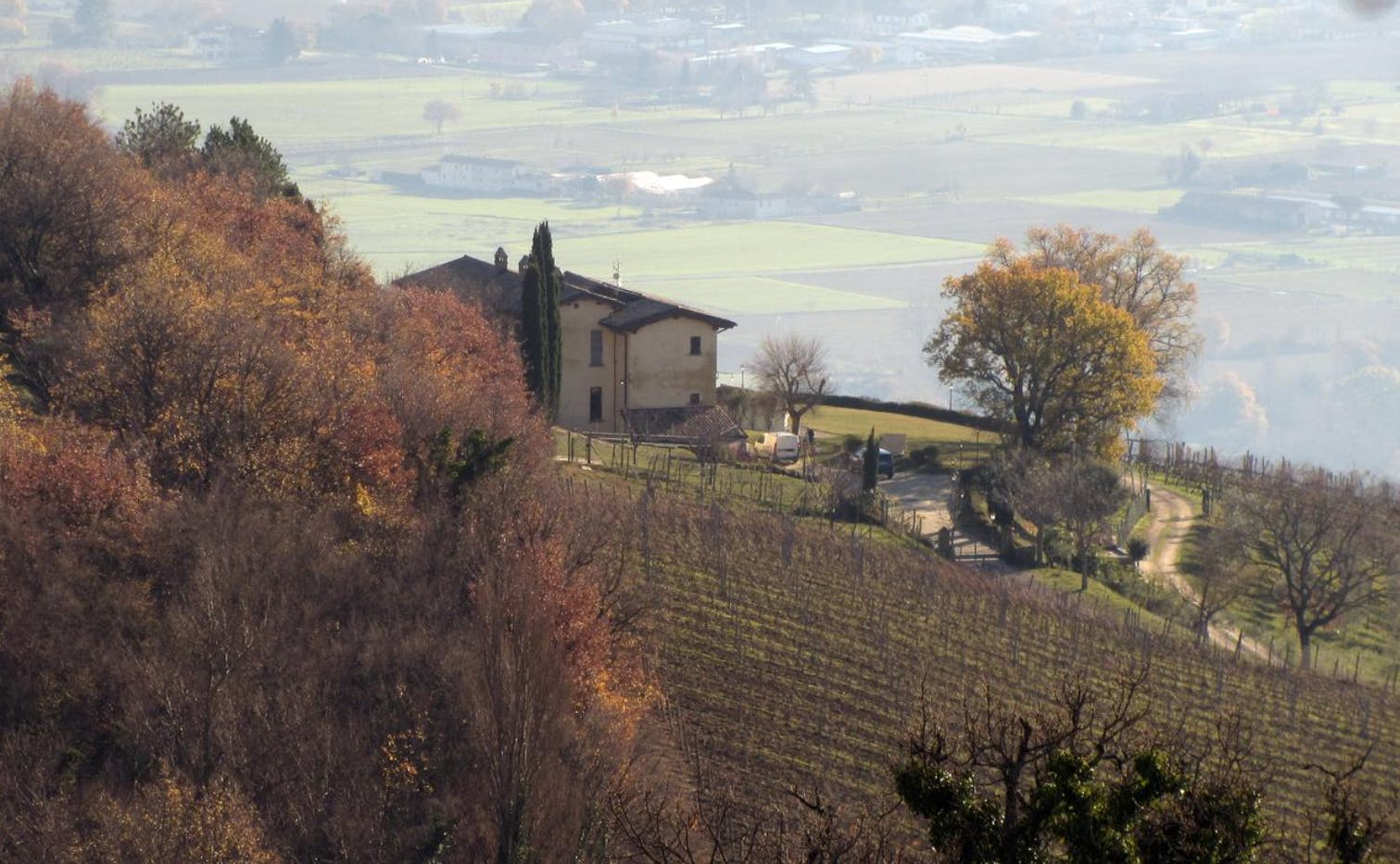vigne e casa