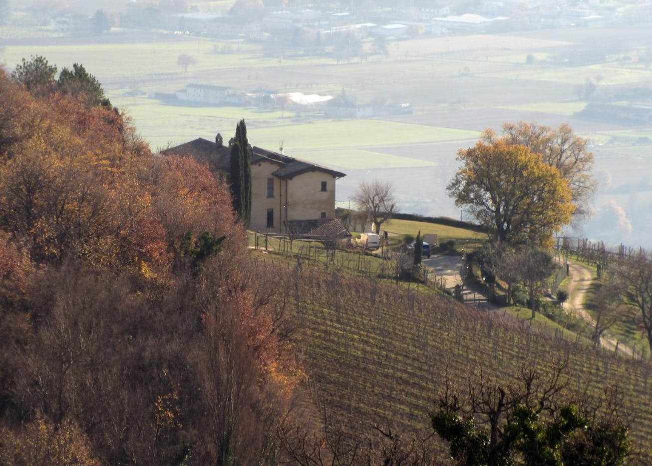 veduta palerna vigne e casa