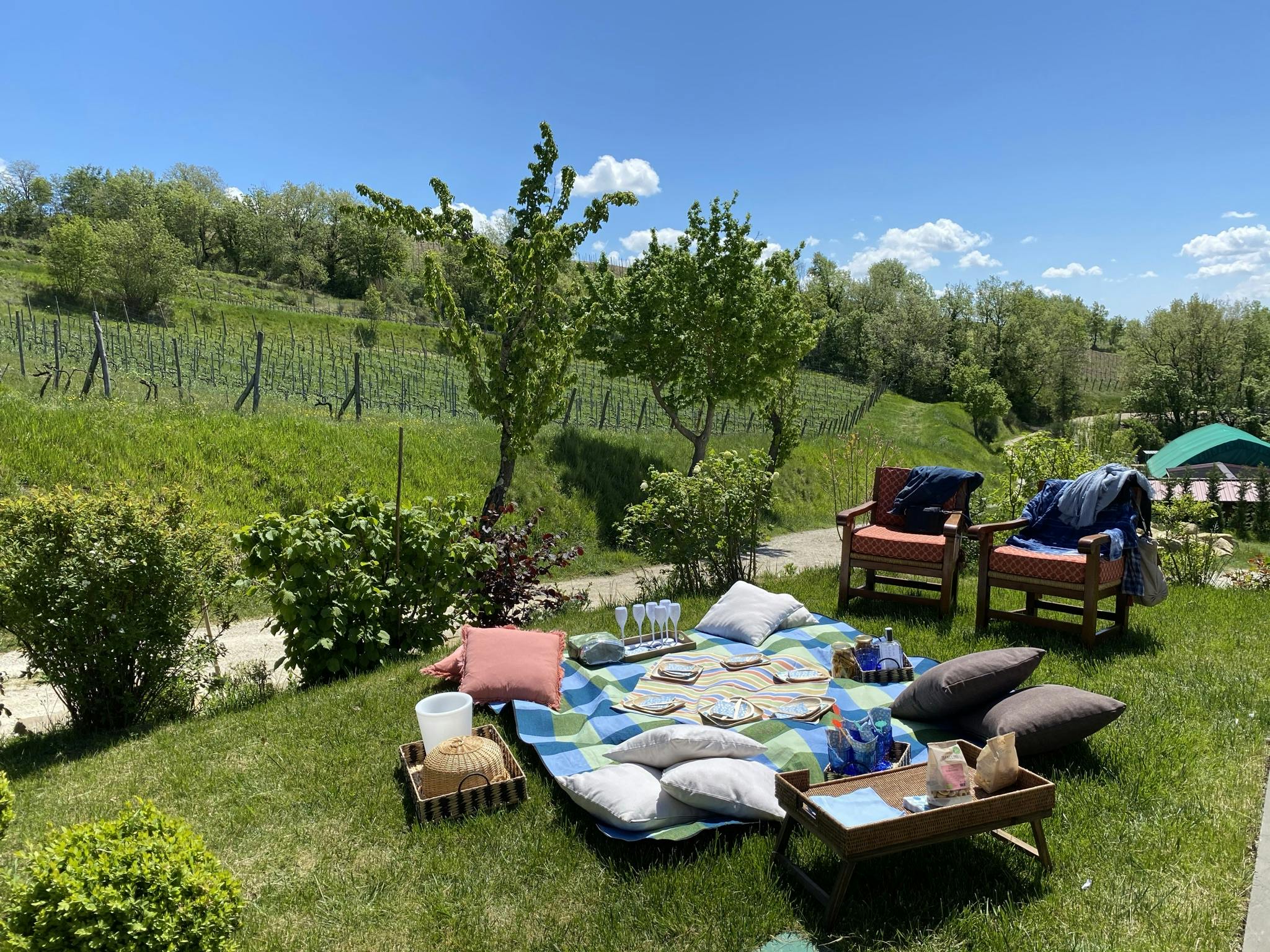 pic nic