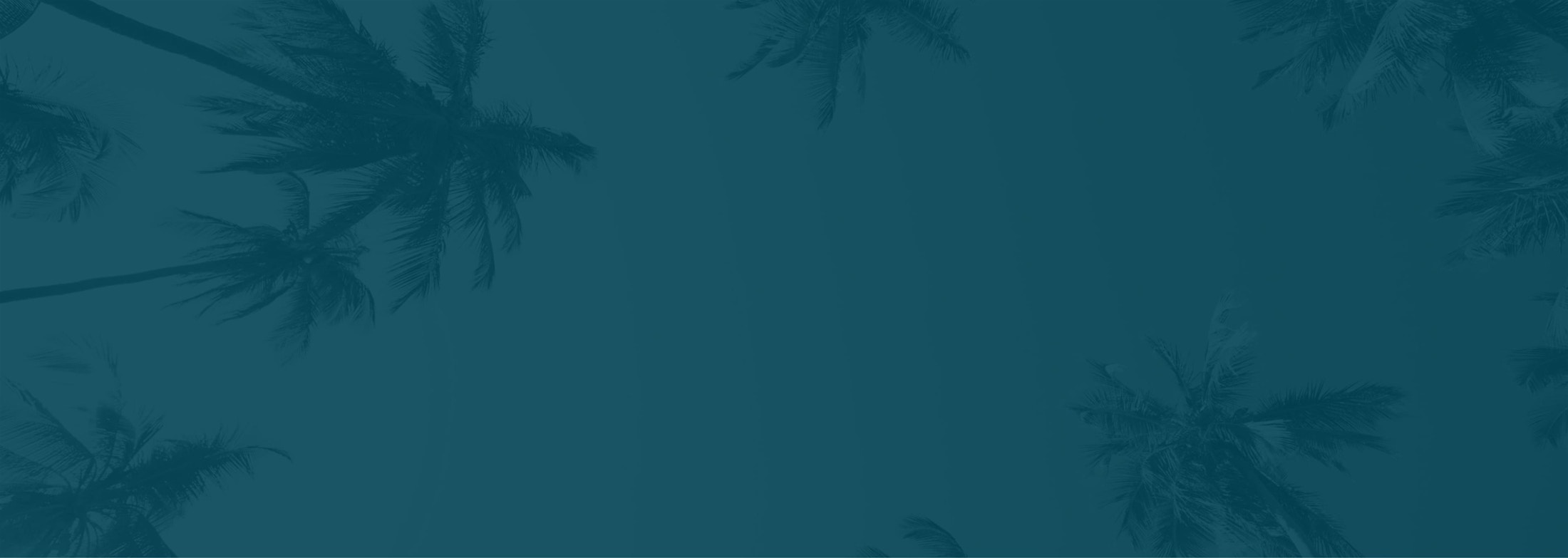 Banner media