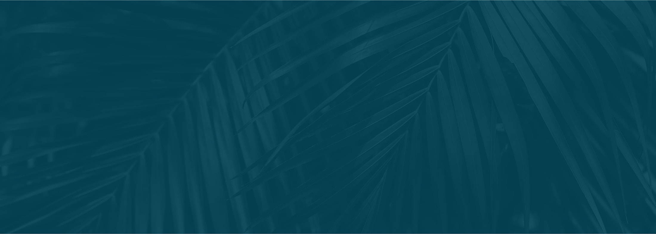 Banner media