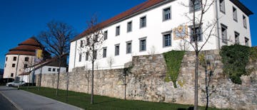 Mini cirkus Buffetto