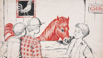 Janez Vidic: Ilustracija za knjigo Rdeči konjiček