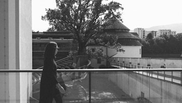 Hrast pri Sodnem stolpu