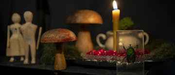 Skrinjica sinjega maka