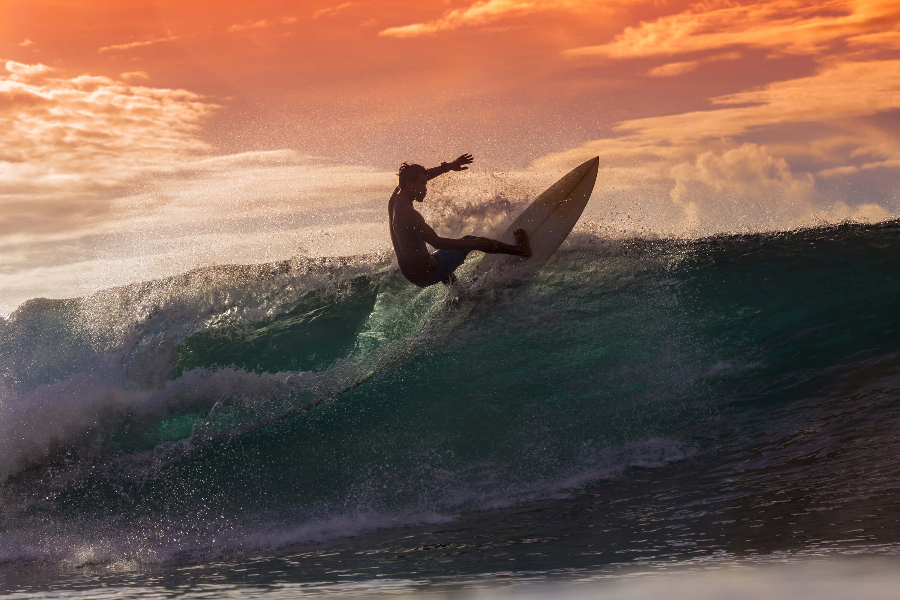 surfer on wave at sunset