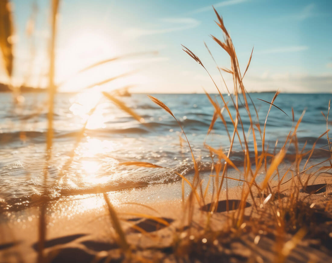 footprints in front of the sea with sunshine