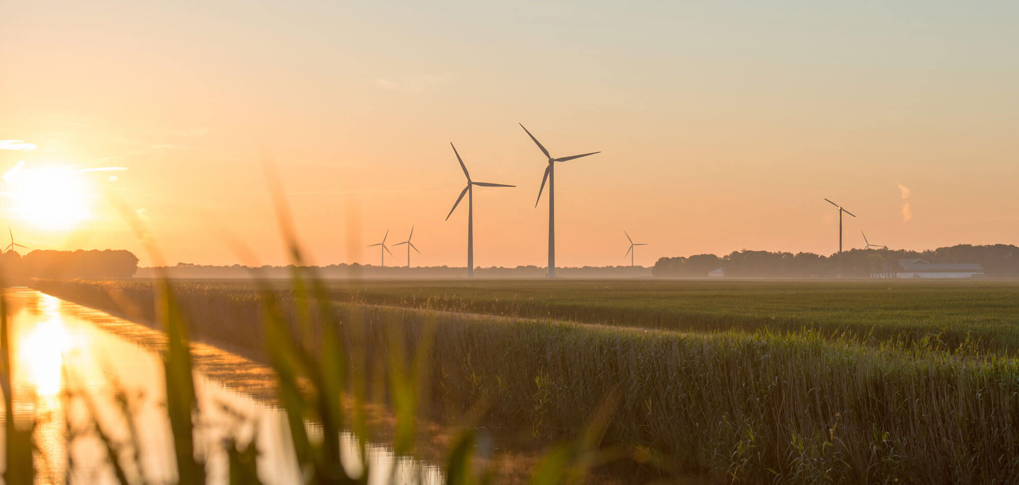 windmills on a field at sunset
