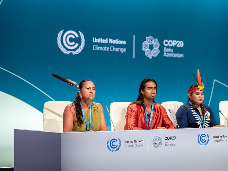 cop29 day 12