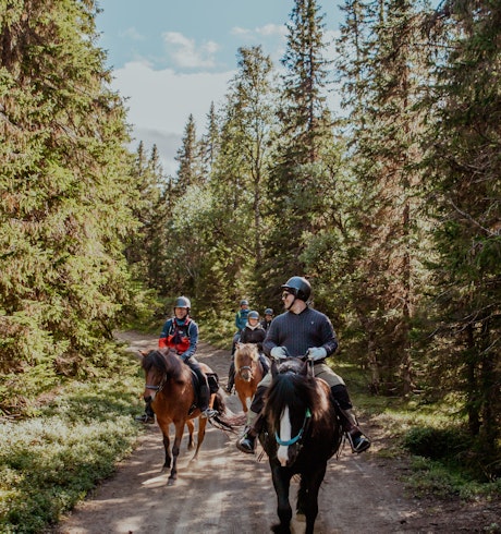 Horse riding on road