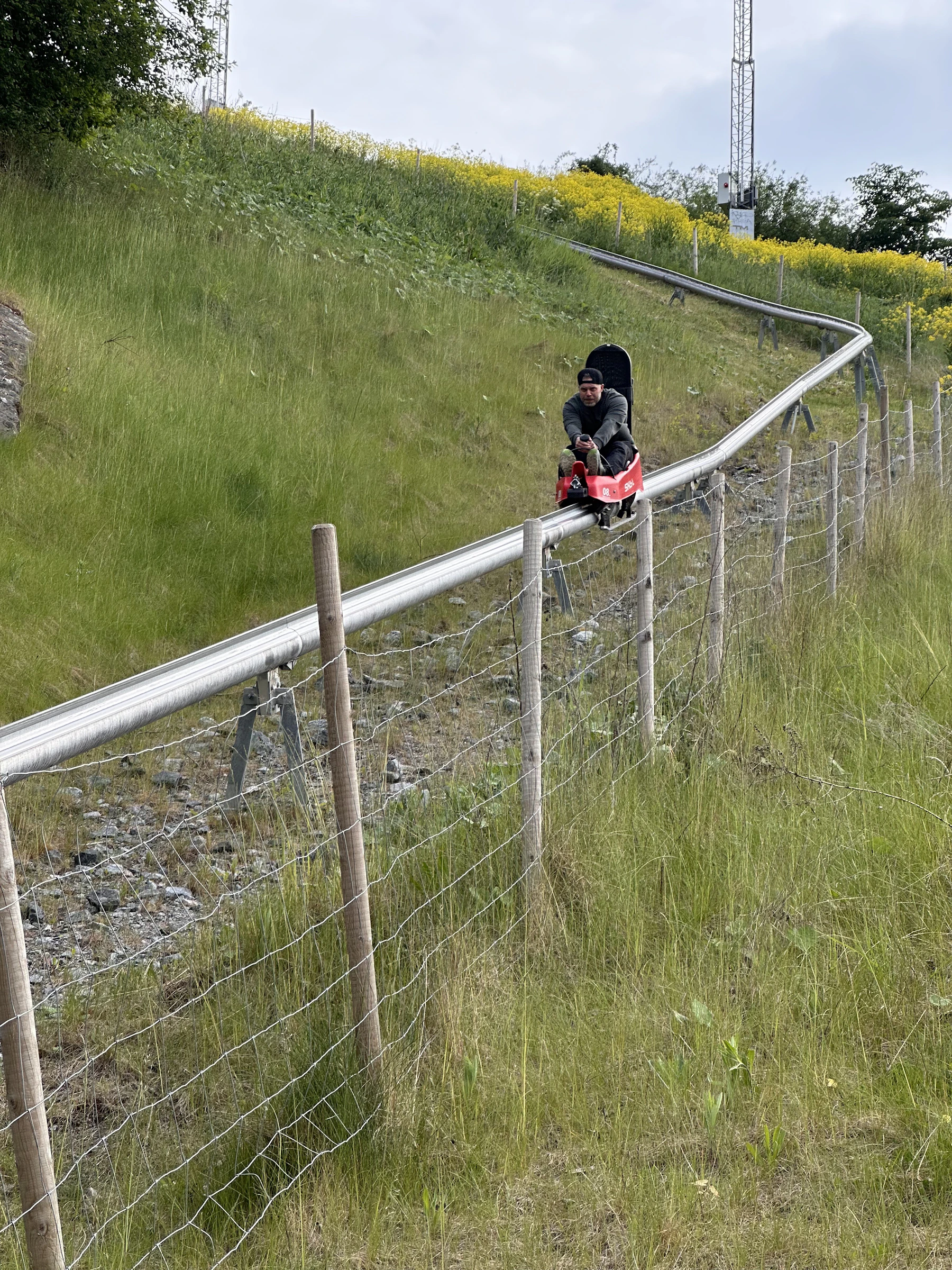 Kollega som åker rodel