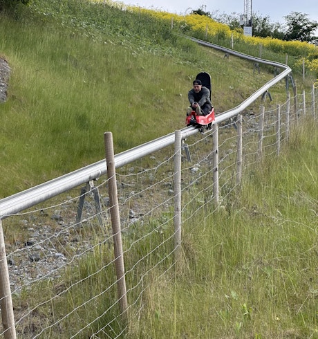 Kollega som åker rodel