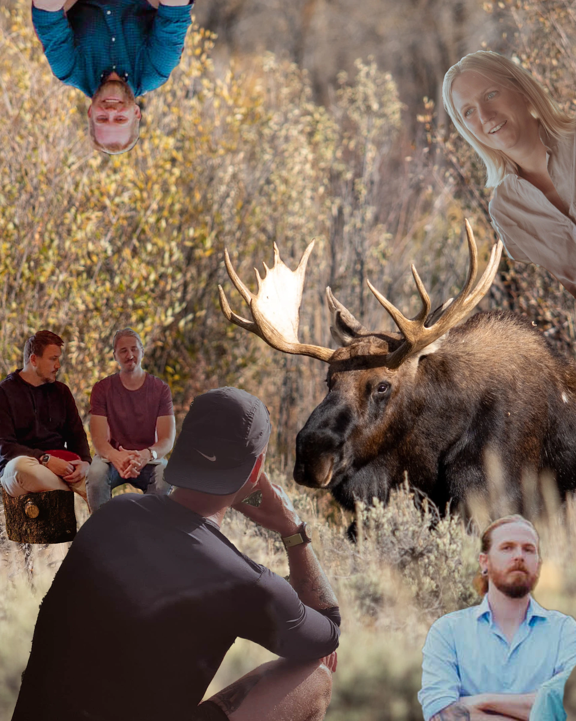 Bild på kollegor som letar efter älgar