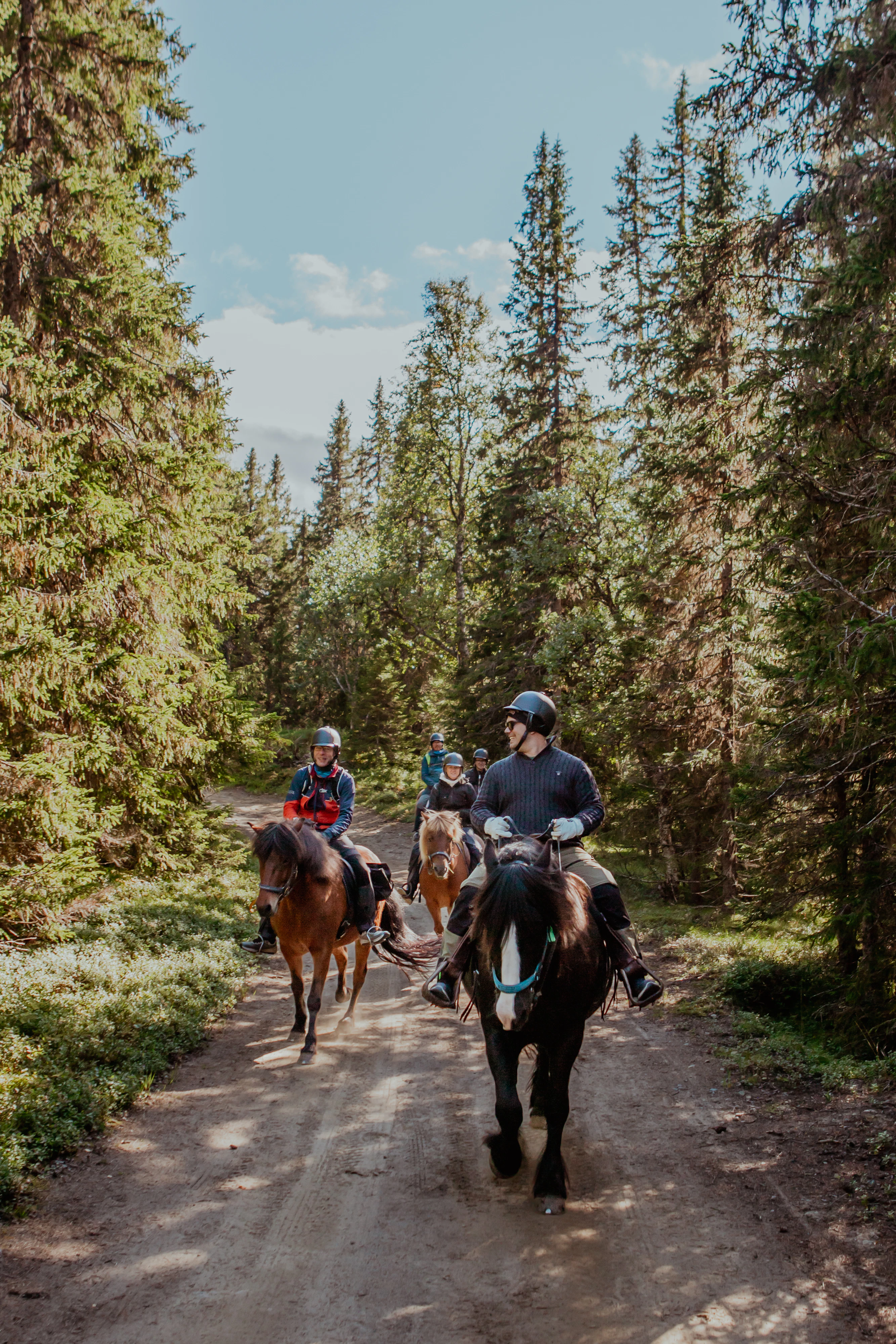 Horse riding on road