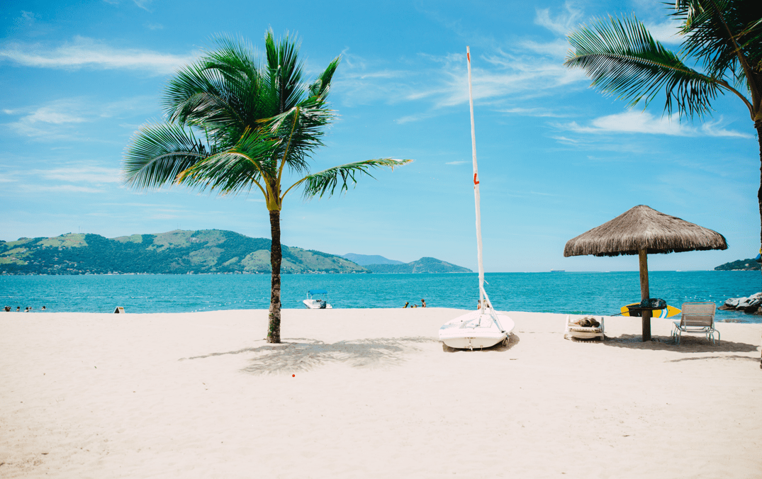 Paisaje de playa con palmera