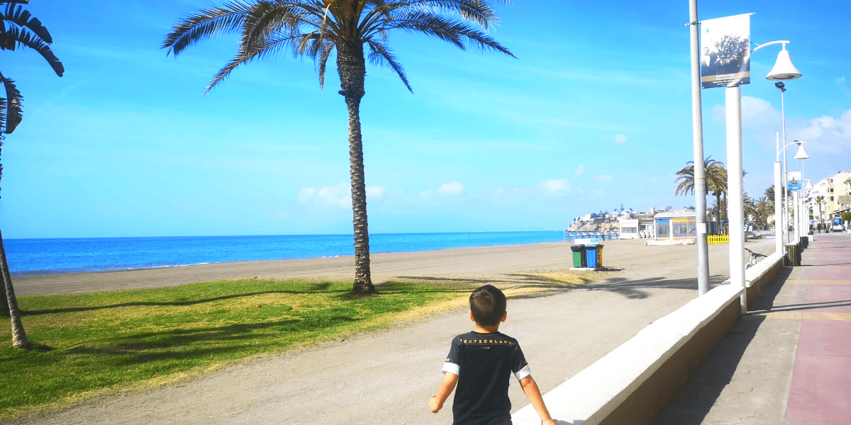Vistas de la playa del rincón con palmeras y cesped en la arena