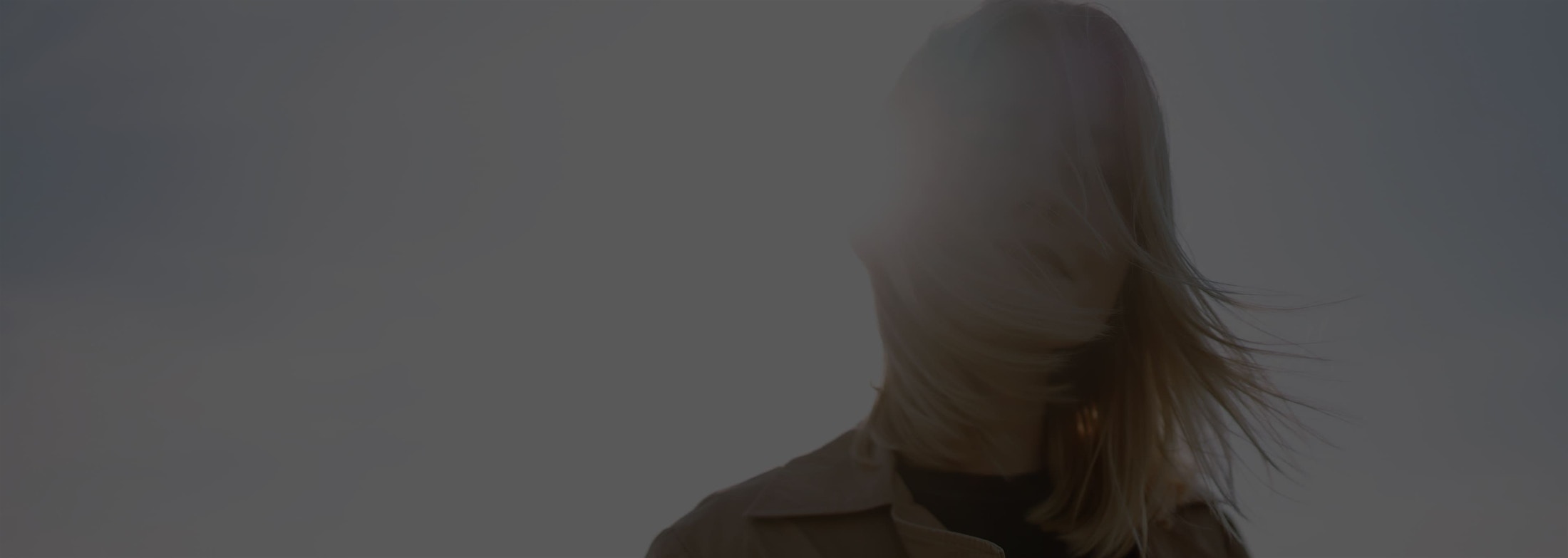 Banner media