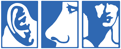 Logo media