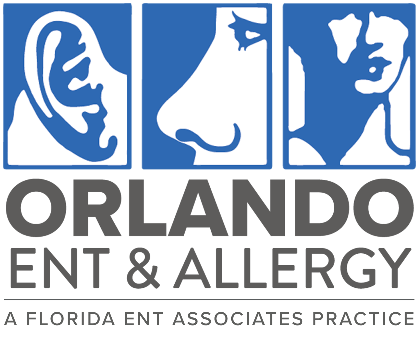 Orlando ENT Website Logo