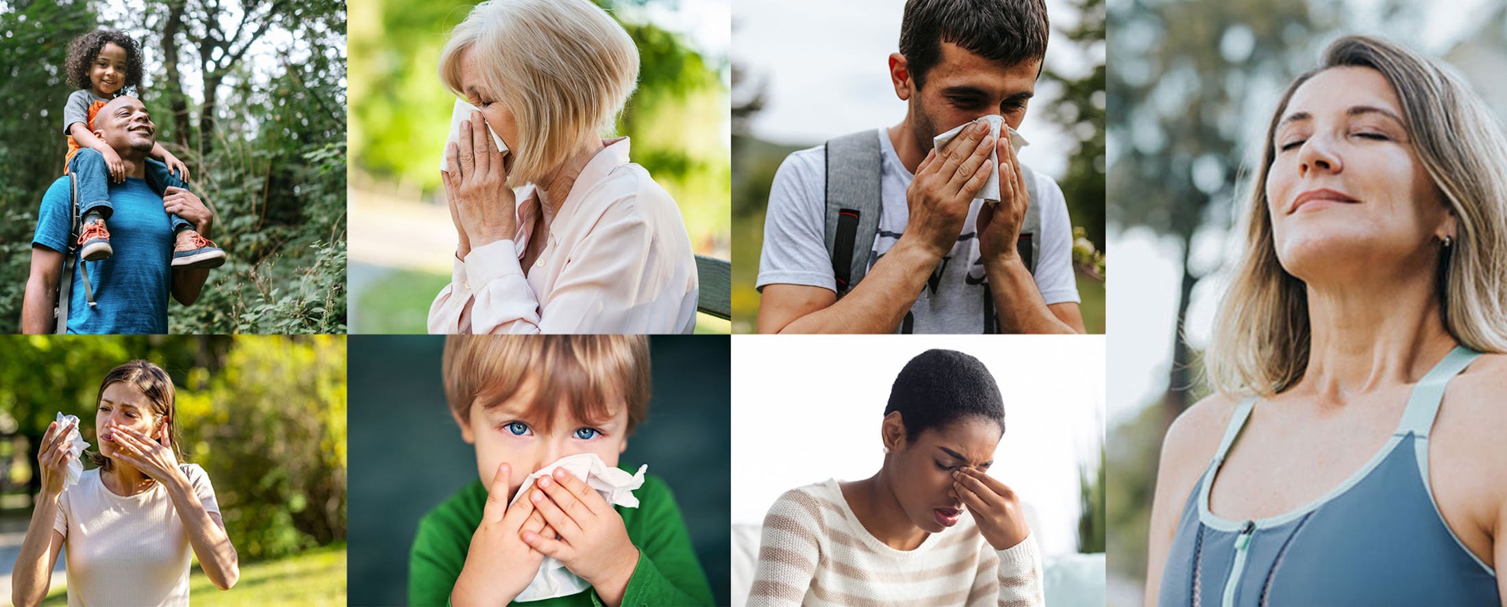 allergy media