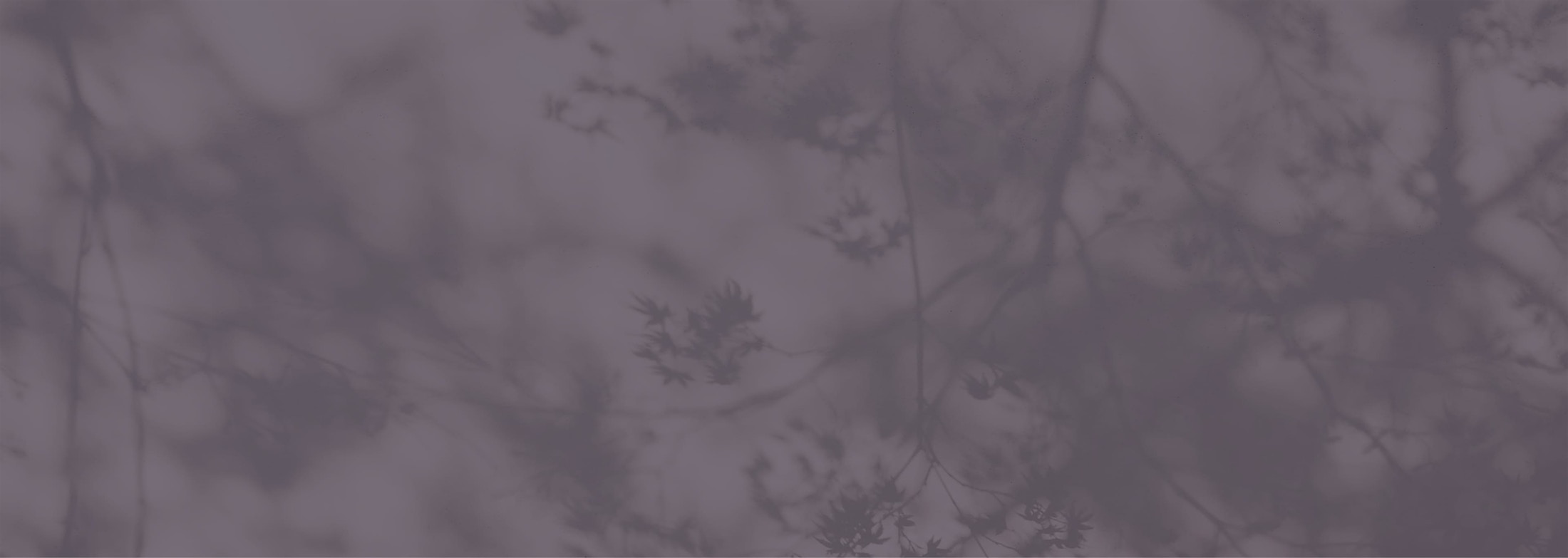 Banner media