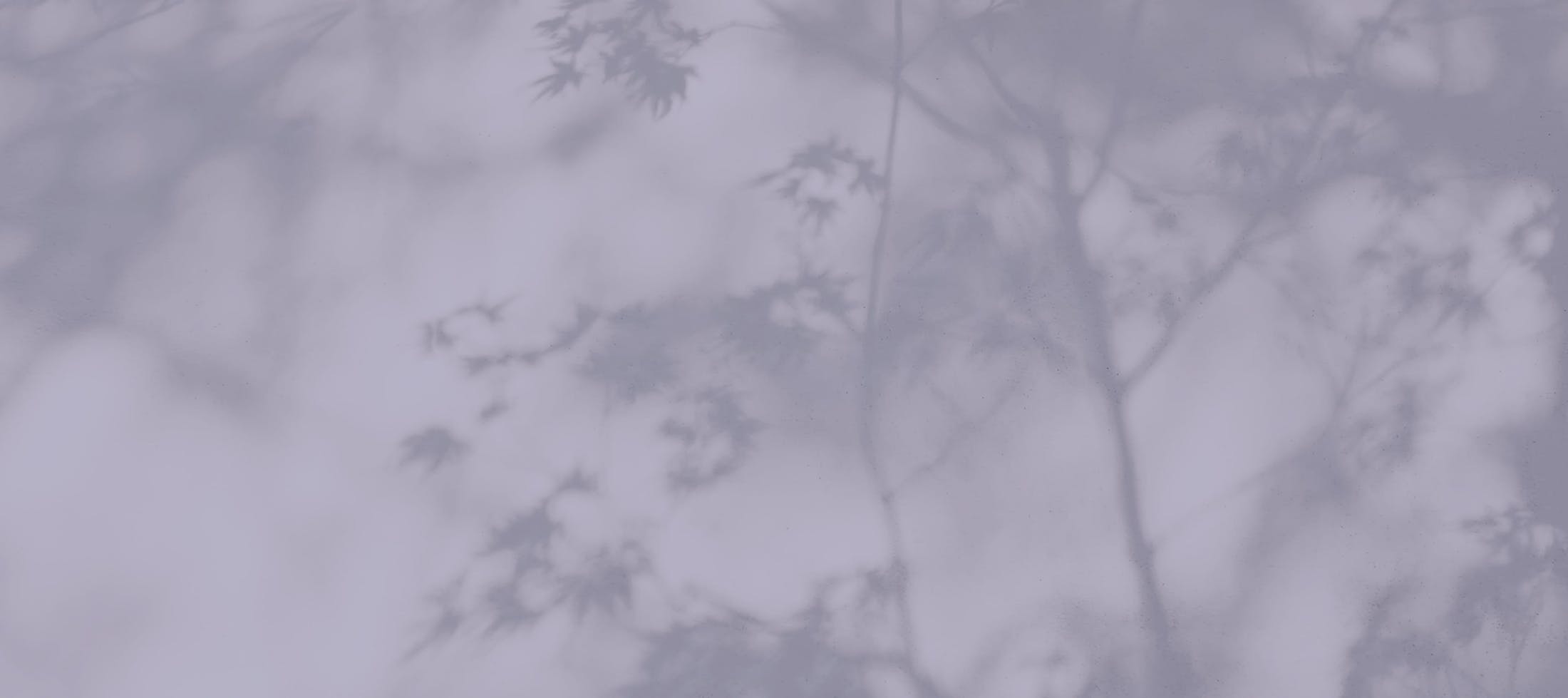 Background media