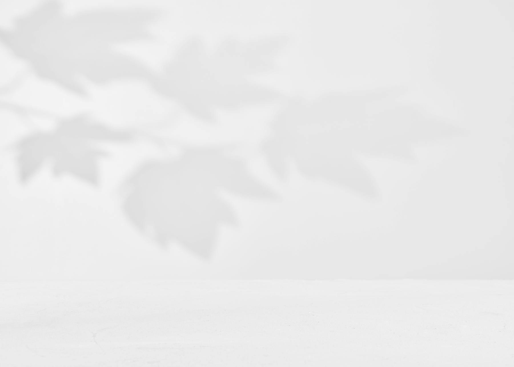 An abstract background image showing shadows of leaves