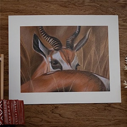 Eye spy Springbok | Safari Pastel Art