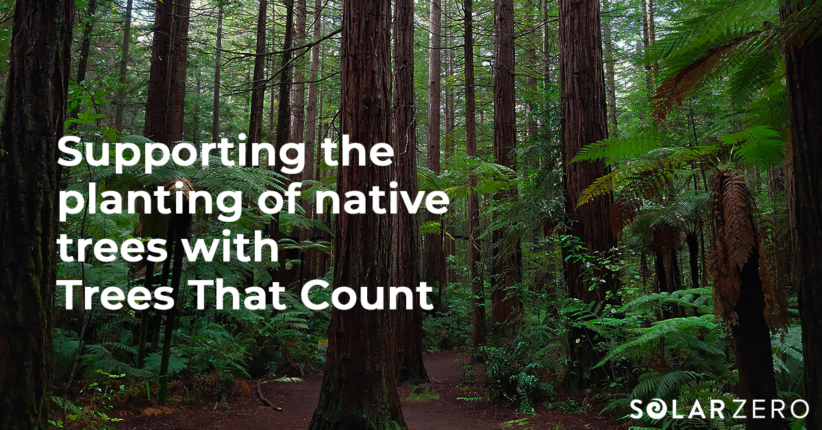 Partnering with Trees That Count to support the planting of native New ...
