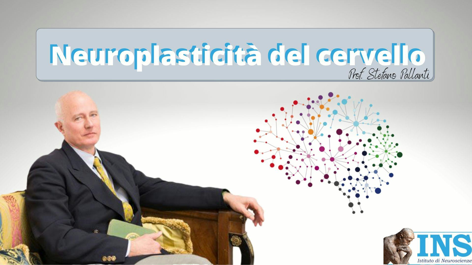 La copertina del video "Neuroplasticità del cervello" di Stefano Pallanti