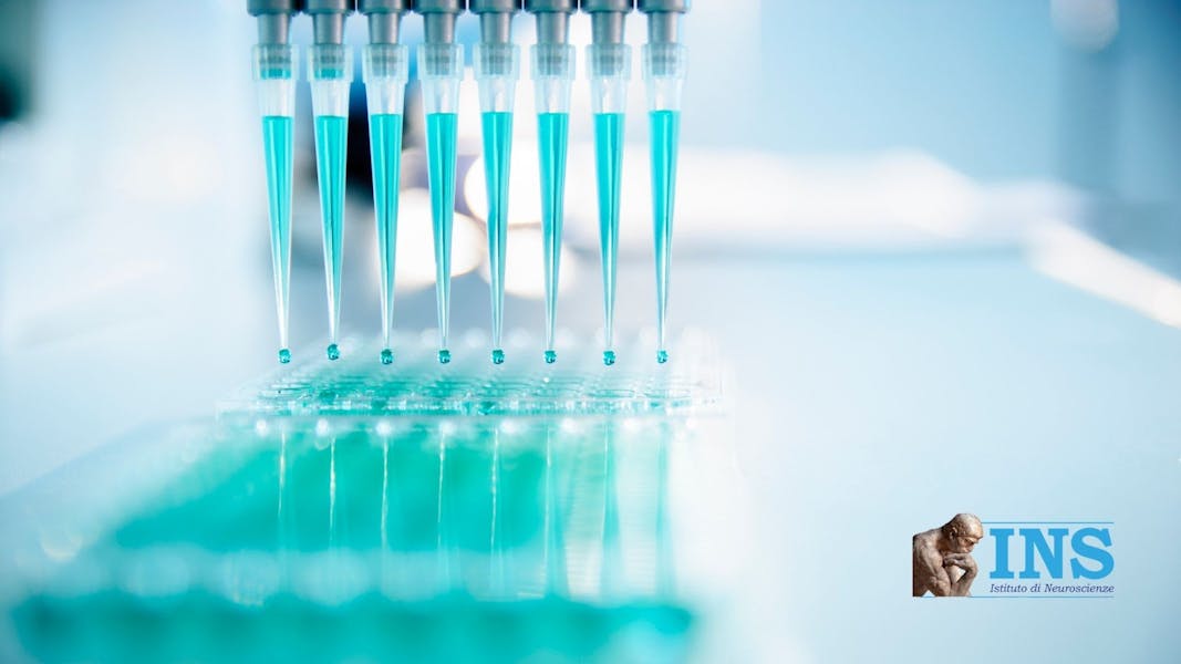 A photo of a machine inserting medicines into test tubes.