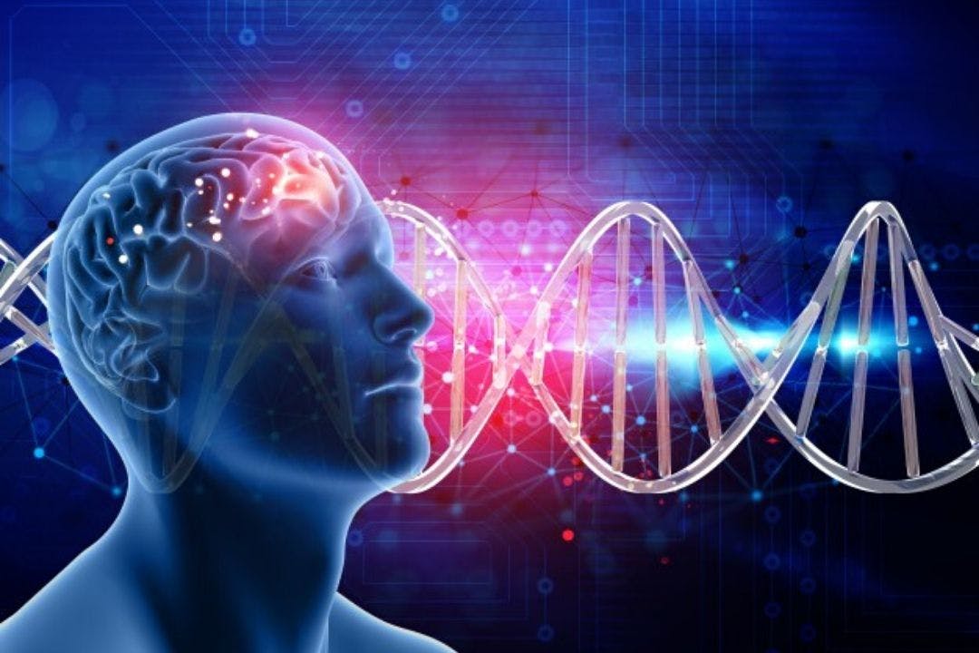 Rappresentazione dell'efficacia della stimolazione nervo vago terapia dell'Istituto di Neuroscienze di Firenze