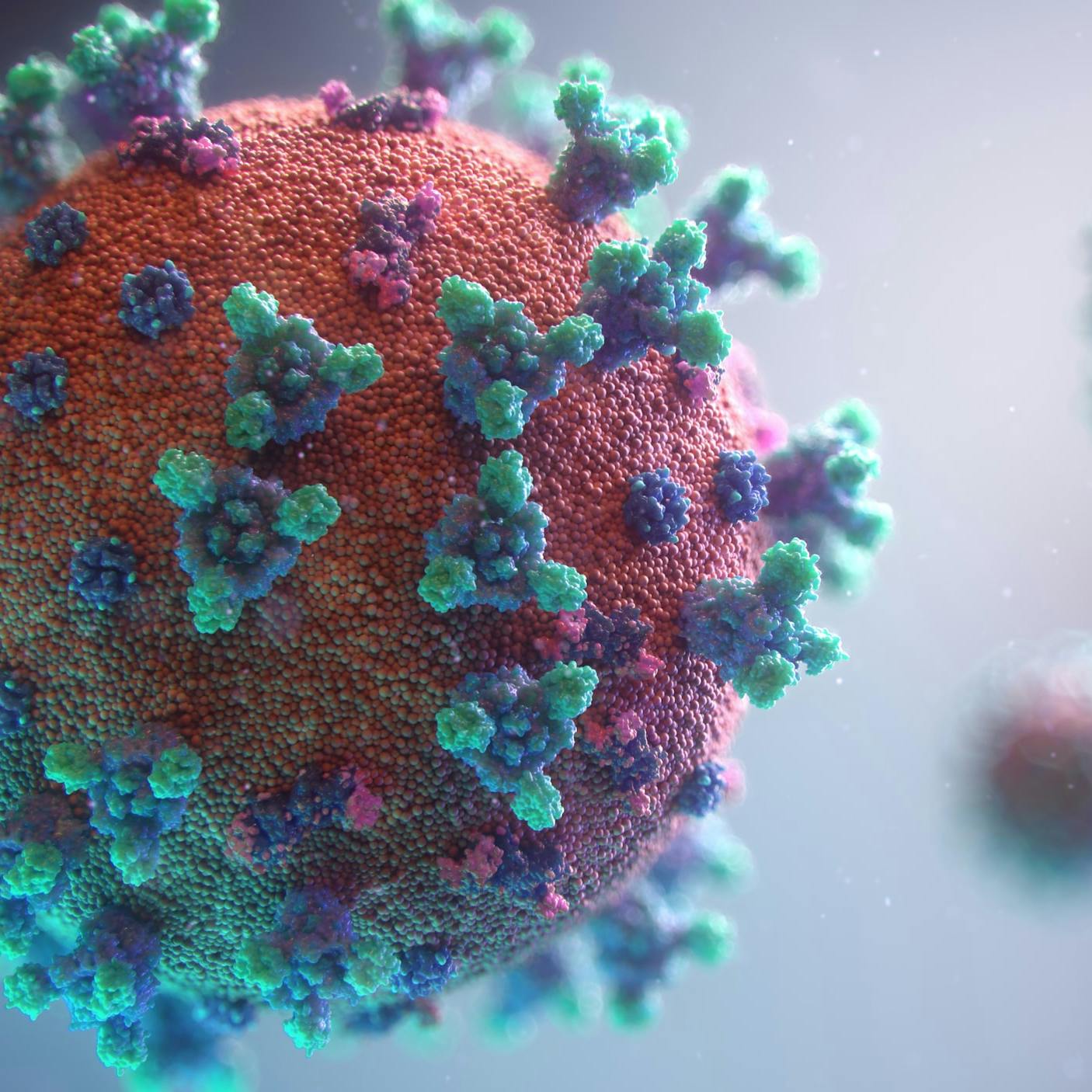 Three-dimensional visualization of Coronavirus