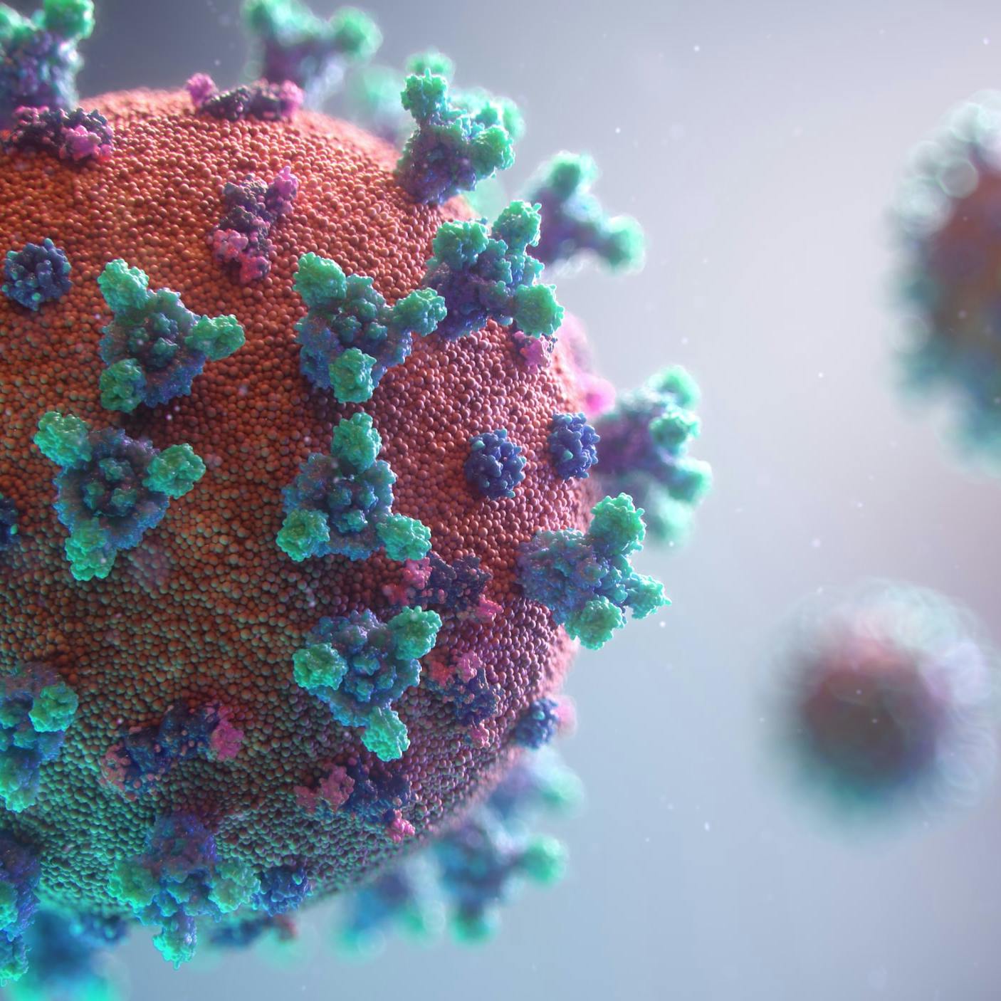 Three-dimensional visualization of Coronavirus