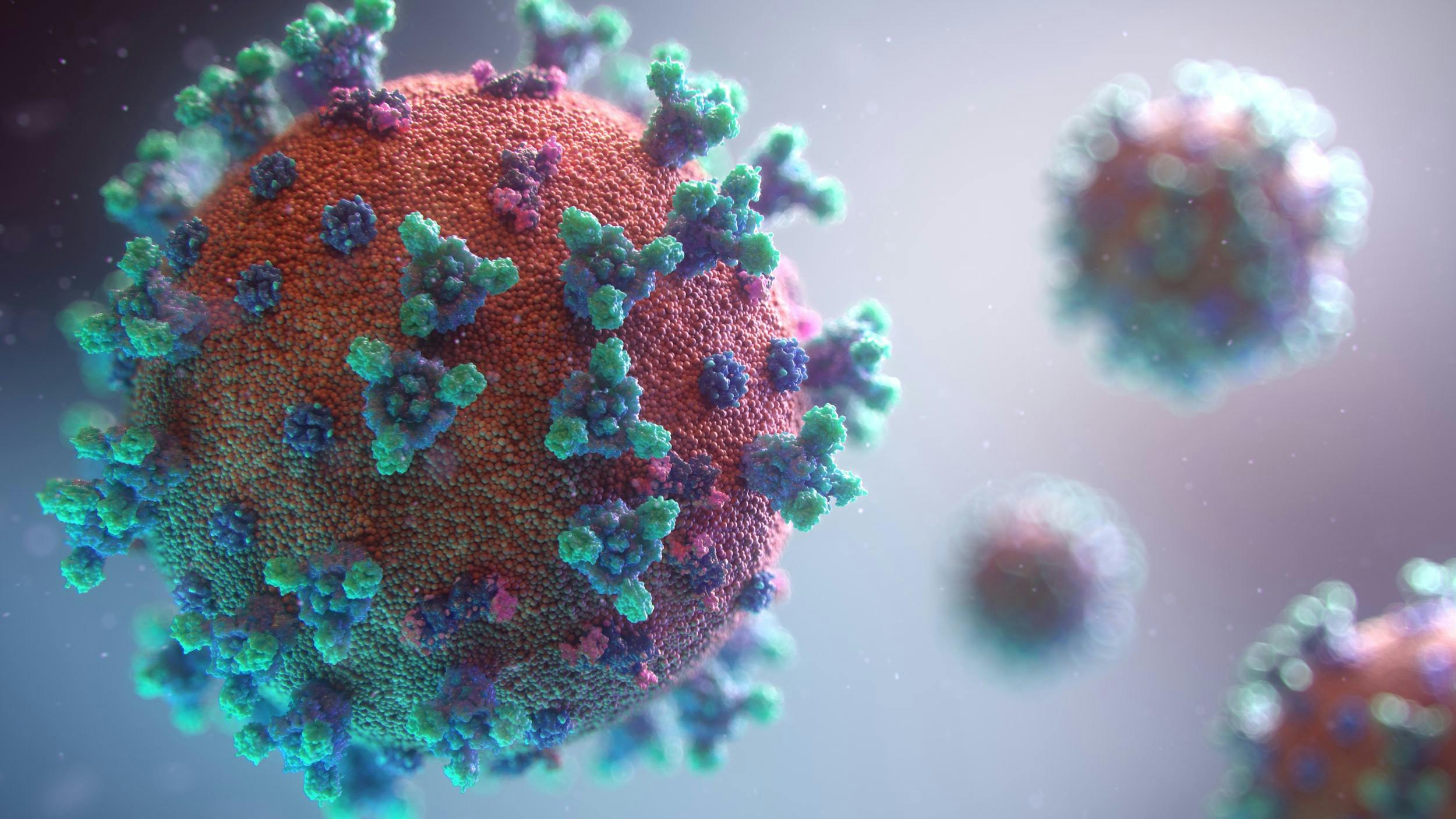 Visualizzazione tridimensionale del Coronavirus