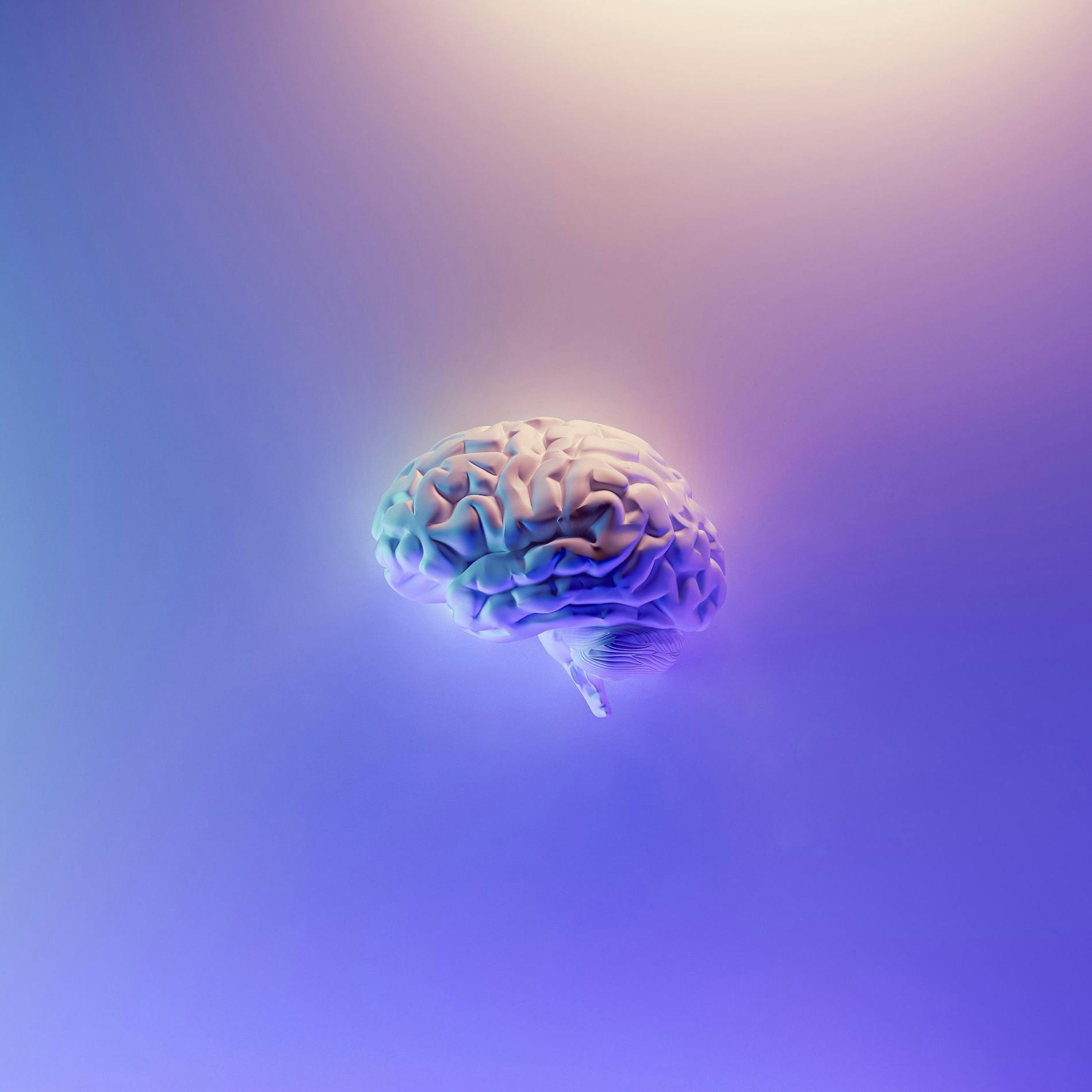 Cervello su sfondo multi-colore dal blu al viola
