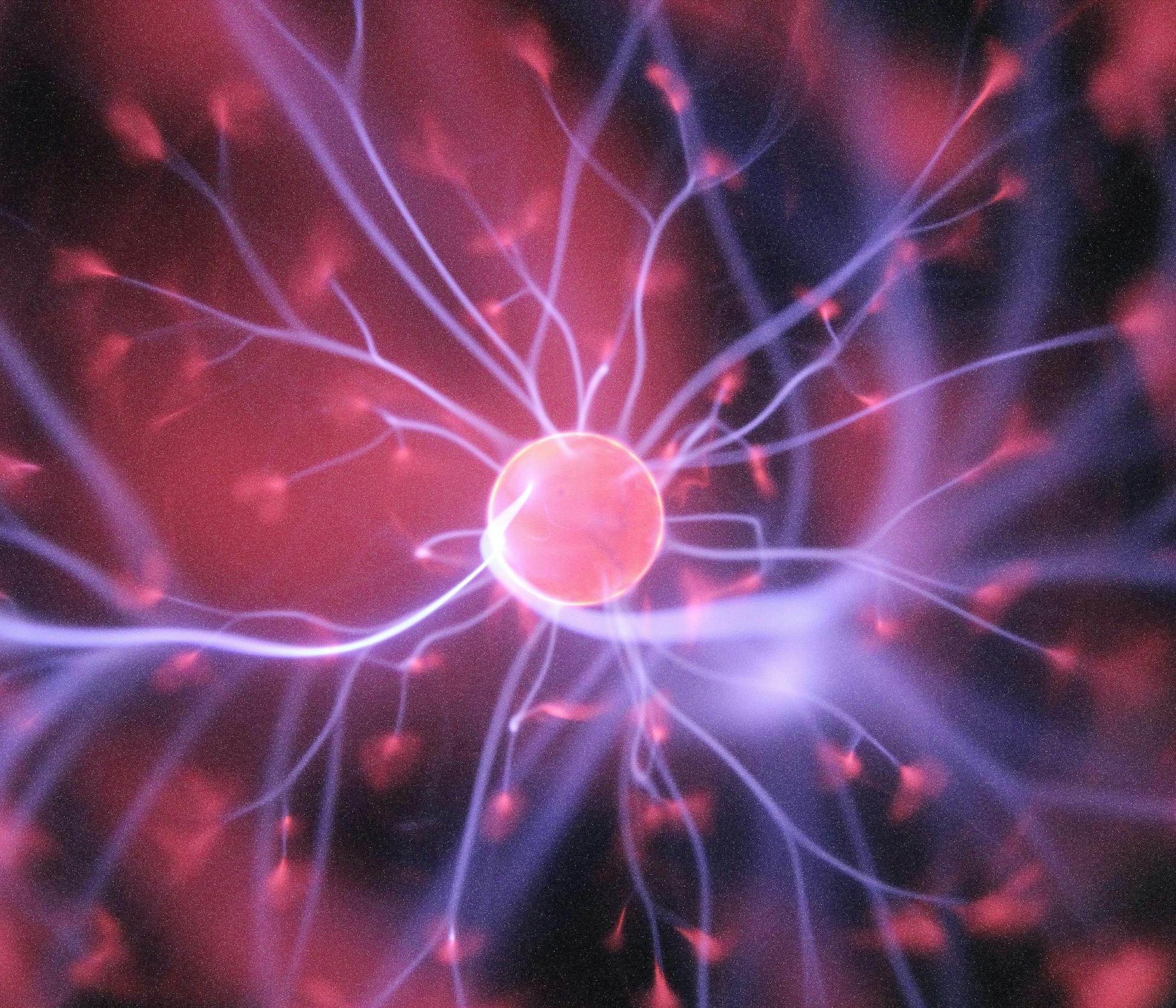 Graphic representation of a neuronal cell with its connections branching off from the nucleus.