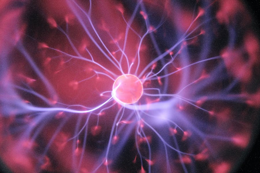 Graphic representation of a neuronal cell with its connections branching off from the nucleus.