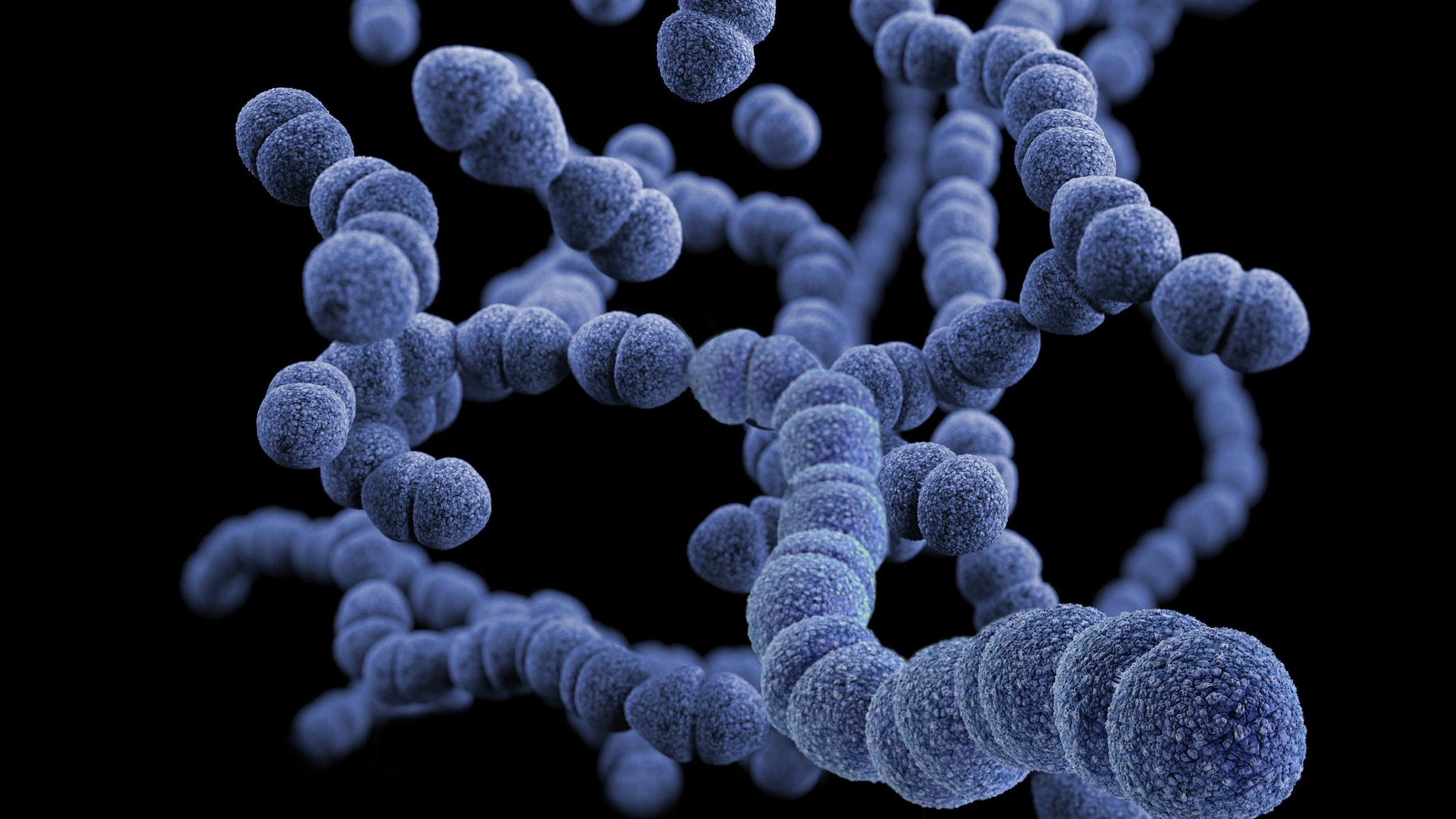 Immagine di batteri blu su sfondo nero