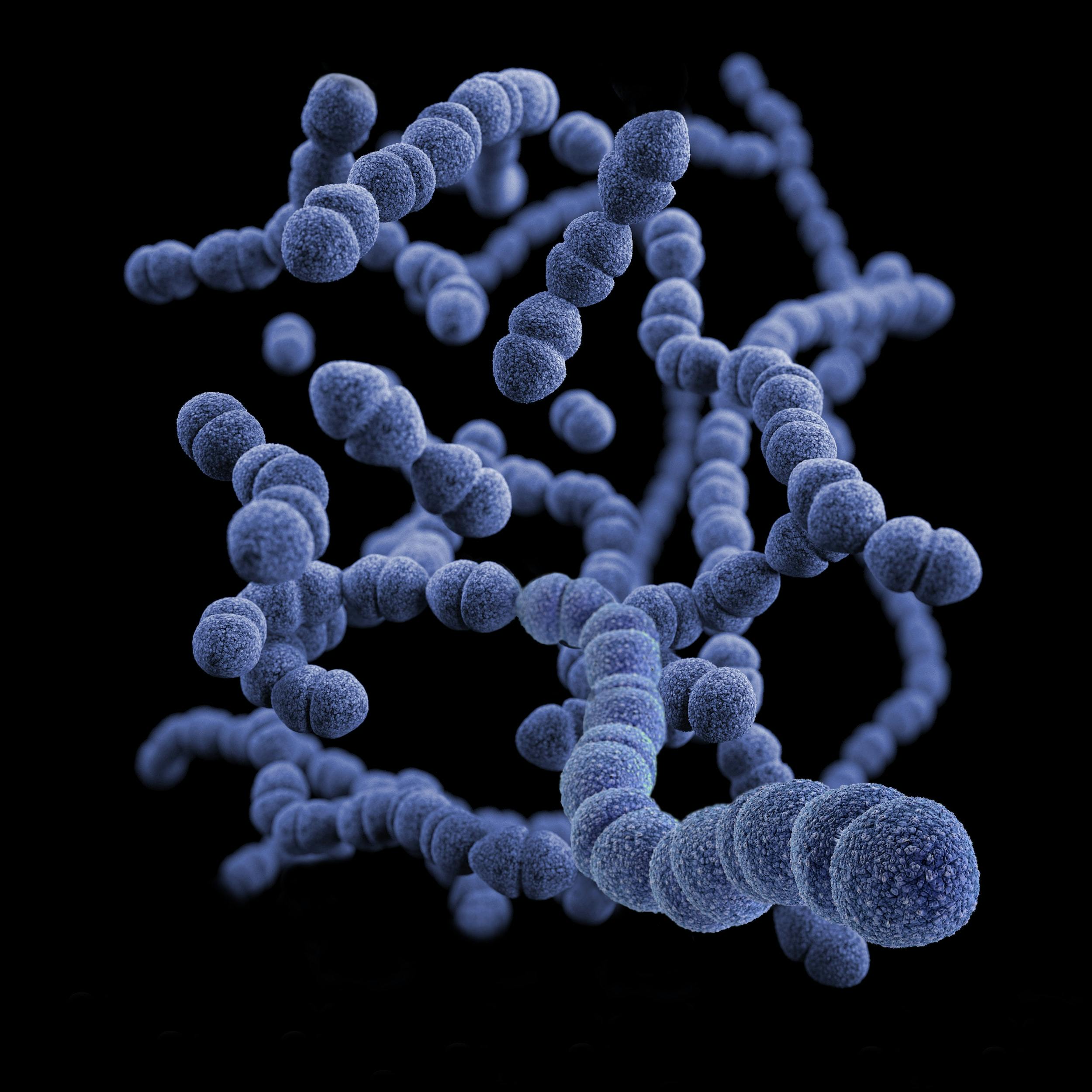 Immagine di batteri blu su sfondo nero