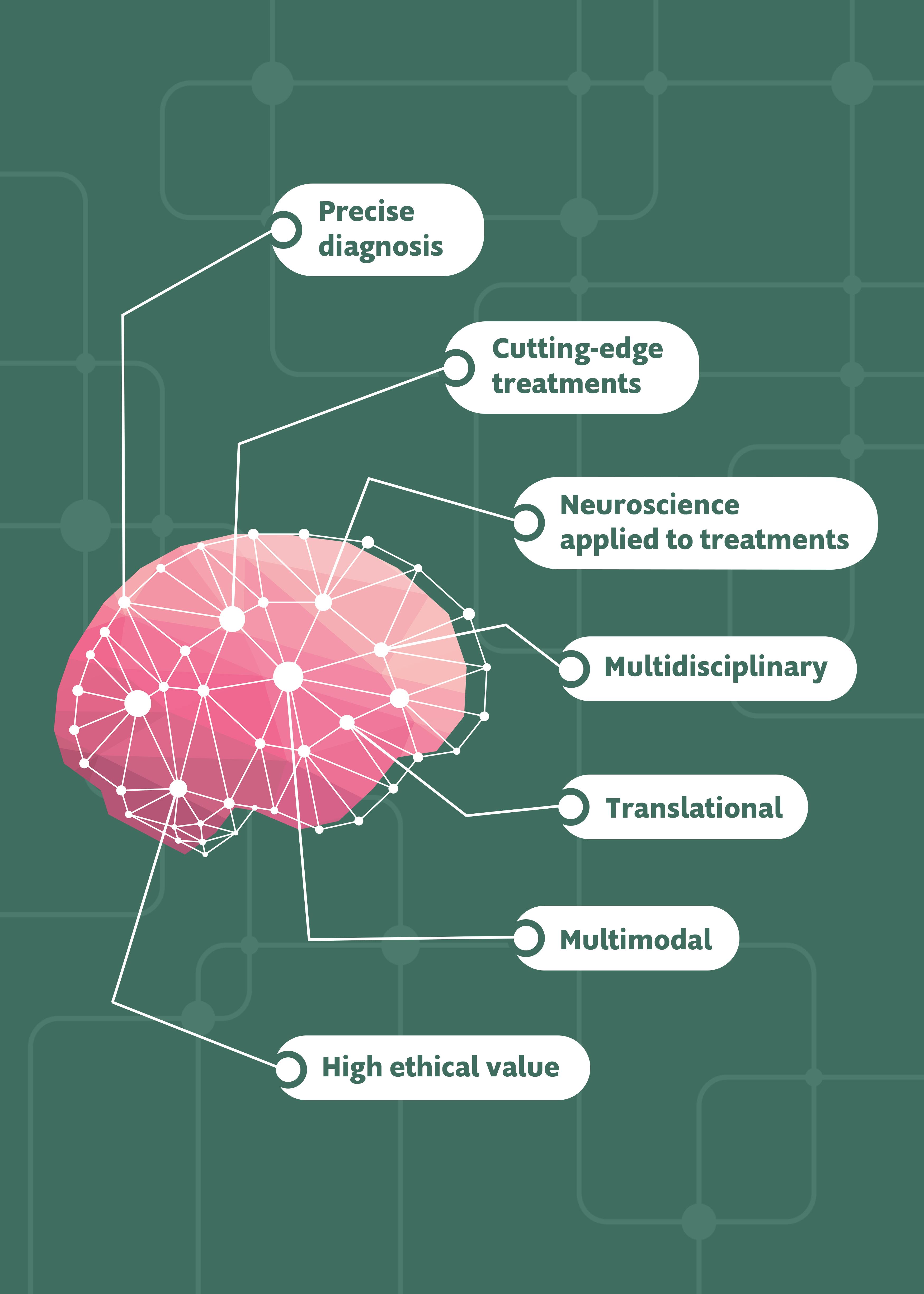 Illustration of pink brain on green background from which a series of lines lead to the following points: precise diagnosis, cutting-edge treatments, neuroscience applied to treatments, multidisciplinary, translational, multimodal, high ethical value.