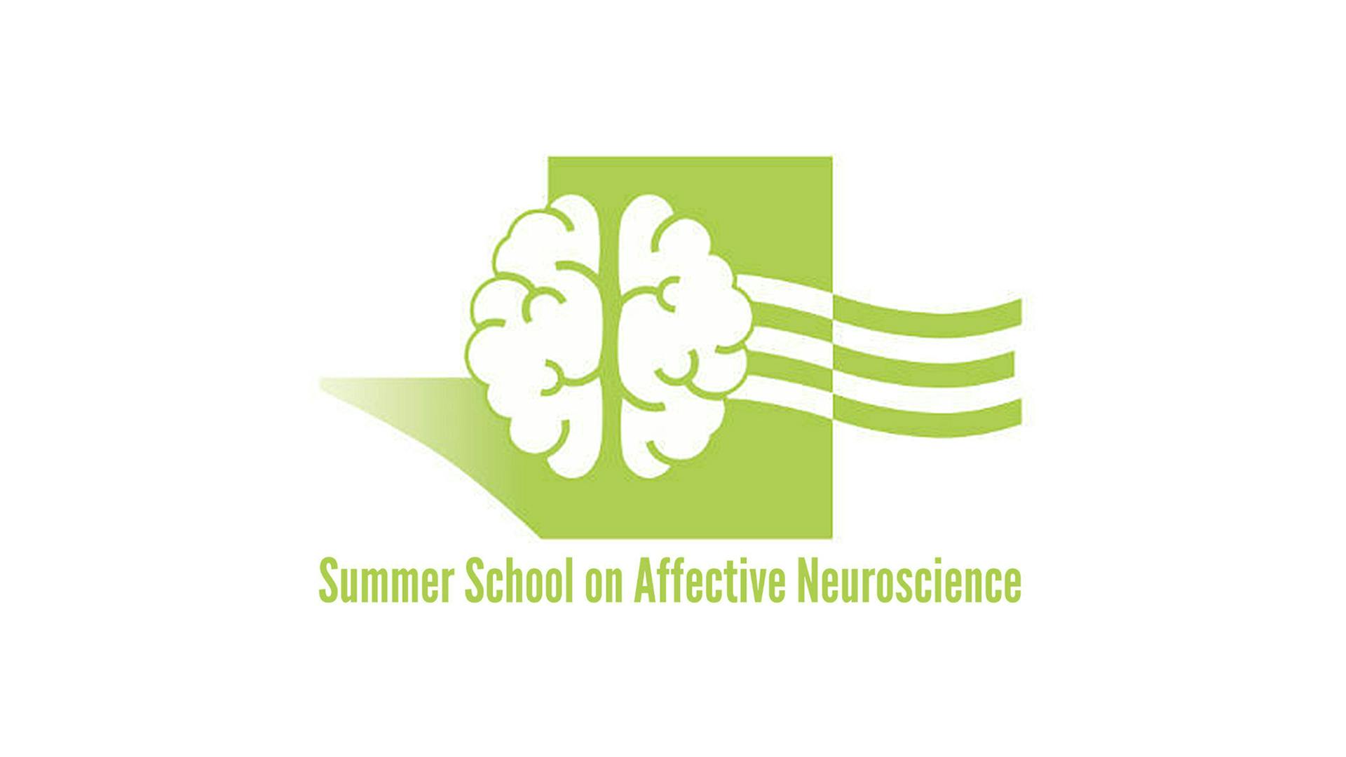 Logo del Summer School on Affective Neuroscience: un cervello stilizzato su sfondo verde.